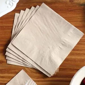 World Centric 4.5" Compostable Square Beverage Napkins | Folded | 2-ply Case of 4000