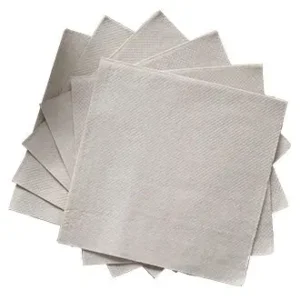 World Centric Lunch Napkins 13" x 13" | Home Compostable Case of 4500